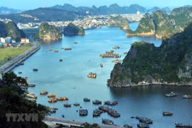 Quang Ninh: La baie de Ha Long continue de dire non aux déchets plastiques
