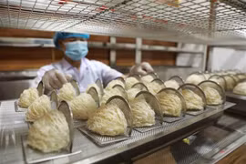 Belles perspectives pour les exportations de nids de salangane