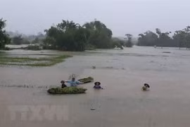 De fortes pluies causent de lourds dégâts dans les localités du Nord