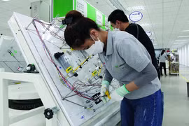 Opportunités de coopération commerciale et d'investissement entre le Vietnam et l'Allemagne 