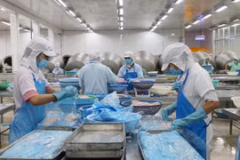 Les exportations de produits agricoles, sylvicoles et aquacoles dépasseront l’objectif fixé
