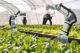 La science et l’innovation contribueront à plus de 50% à la croissance agricole en 2030