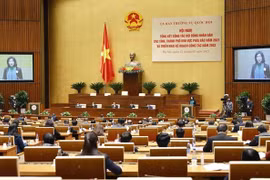 Conférence sur le plan de travail des Conseils populaires en 2022