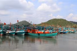 Ba Ria-Vung Tau impose de lourdes amendes aux navires violant les règles de lutte contre la pêche INN