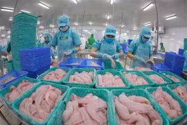 Les exportations de poisson tra maintiennent l'objectif fixé pour 2021