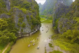 Ninh Binh développe l’agrotourisme