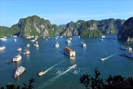 50 ans de relations Vietnam-Italie : programme de promotion du Vietnam à Milan