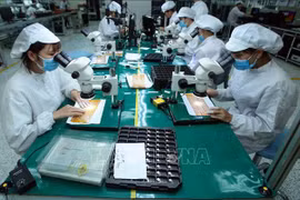 De nombreux potentiels pour le commerce Vietnam-Hongrie