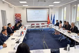 Nam Dinh renforce la promotion des investissements auprès des entreprises françaises