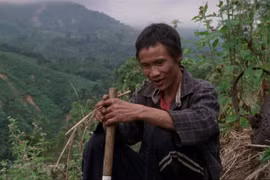 Des films vietnamiens sont présentés au Festival international du film de Singapour