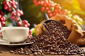Le Japon augmente ses importations de café vietnamien