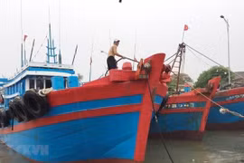 La tempête Wipha devrait toucher la zone maritime de Quang Ninh - Hai Phong