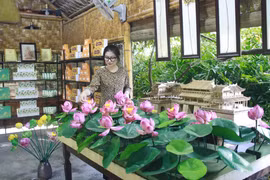 Création de produits imprégnés de la culture vietnamienne à partir de lotus
