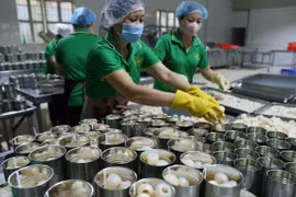 Accélérer la quarantaine végétale des fruits exportés vers les États-Unis