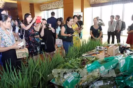 Promouvoir la connexion commerciale entre le Vietnam et la Russie