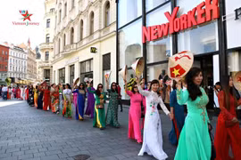 Journée de la culture vietnamienne en République tchèque