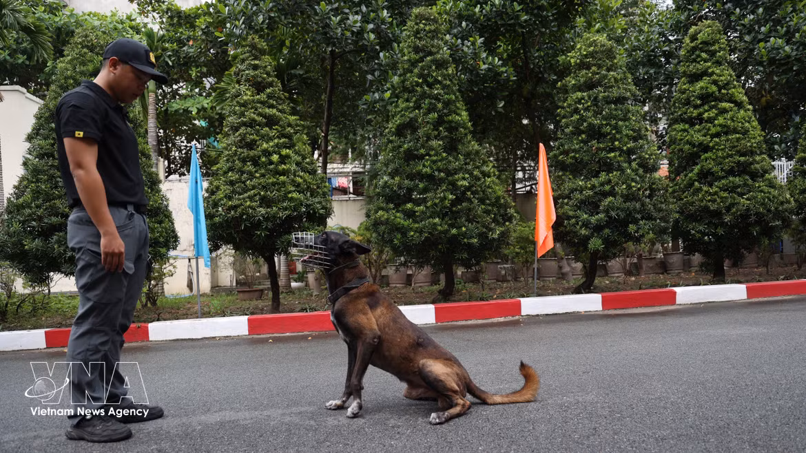 Les chiens d’intervention, des gardiens à quatre pattes