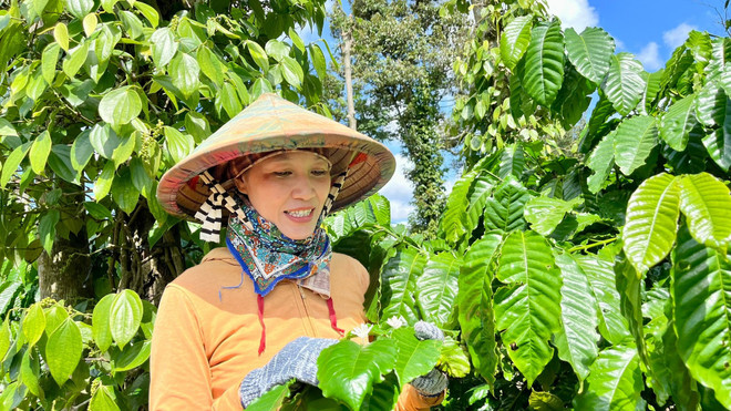 Au cours des deux premiers mois de l’année, le secteur agricole a connu un développement constant. (Photo : Vietnam+) 2-9303.jpg
