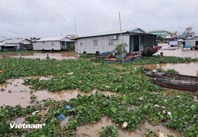Agissons tous ensemble, ne soyons pas indifférents à la pollution plastique, adoptons un mode de vie plus écologique et protégeons l'environnement. (Photo d'illustration : Vietnam+) 2-8061.jpg