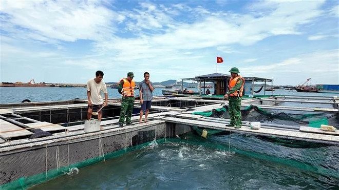 Les gardes-frontières de Co To mobilisent les aquaculteurs pour débarquer afin d'éviter la tempête. Photo : VNA 2-8058.jpg