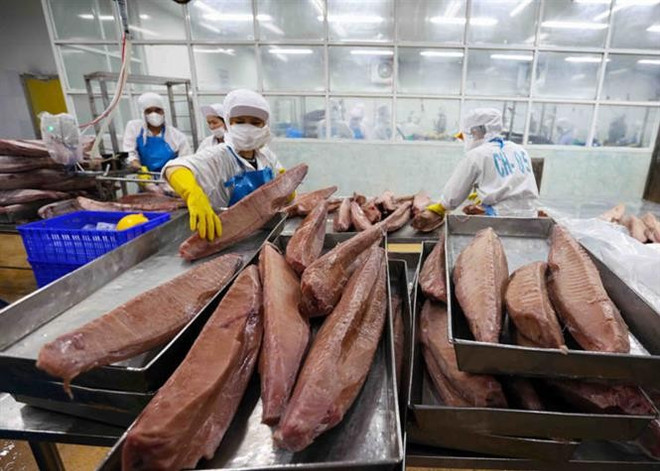 Les exportations de thon du Vietnam vers le Portugal ont connu une forte croissance en 2024. Photo : VNA 2.jpg