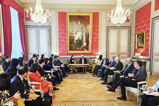 La vice-présidente de l'Assemblée nationale, Nguyen Thi Thanh, et le premier vice-président du Sénat belge, Andries Gryffoy, lors de leurs entretiens (Photo : daibieunhandan.vn) 2-337.jpg