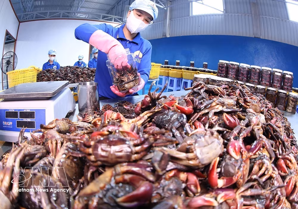 vnanet-potal-htx-lam-nong-cot-trong-phat-trien-kinh-te-tu-nhan-o-ca-mau-8707862.jpg
