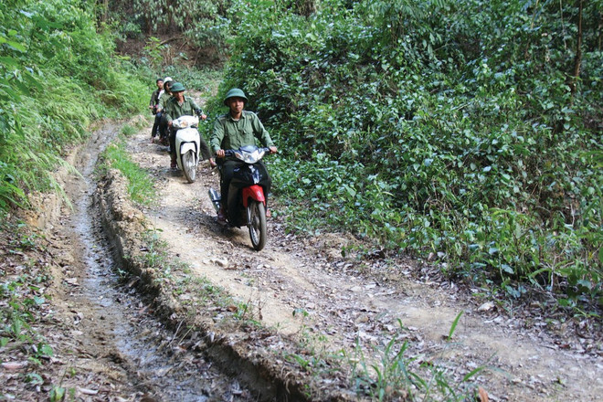 Gardes forestiers patrouillant à moto dans la forêt de bois de rose de la province de Gia Lai. Photo : VNA/CVN bois.jpg