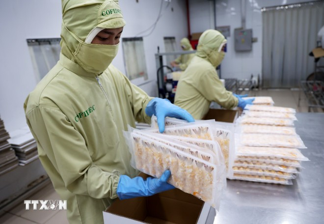 Emballage de crevettes transformés pour l'exportation vers le Japon. Photo : VNA crevette.jpg