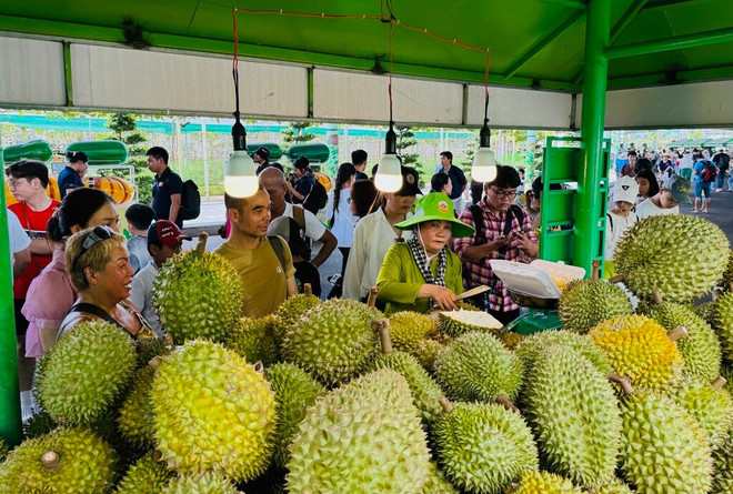 Les visiteurs achètent des fruits spéciaux lors du festival. Photo : CVN fruits-3.jpg