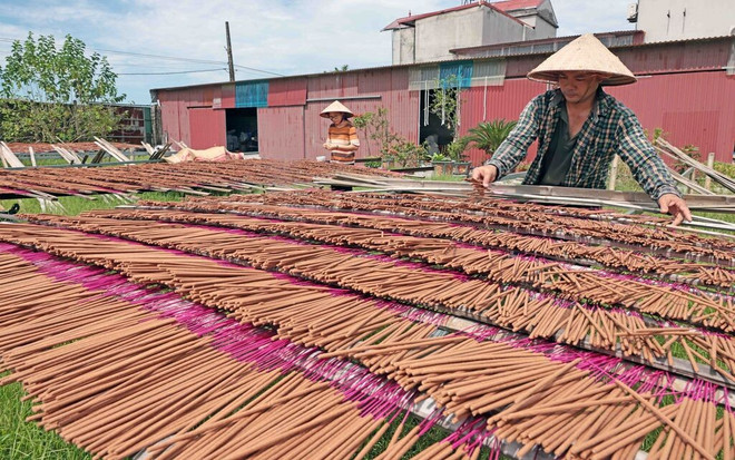 Les bâtonnets d'encens de Quang Phu Câu déjà populaires au Vietnam sont également exportés vers des marchés comme la Chine, l'Inde et la Malaisie. Photo : VNA/CVN 2.jpg
