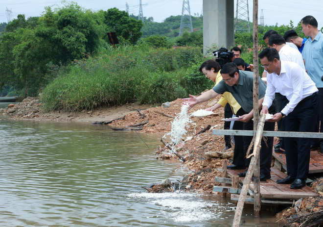 Le Premier ministre Pham Minh Chinh dépose des fleurs dans la rivière Long Dai où 16 jeunes volontaires ont sacrifié leur vie en 1972. Photo : VNA 2.jpg
