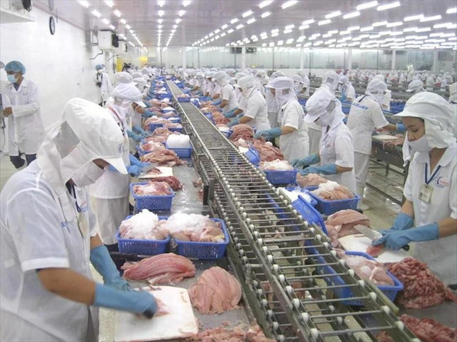 Transformation de produits aquatiques à l'export. Photo : VNA to.jpg