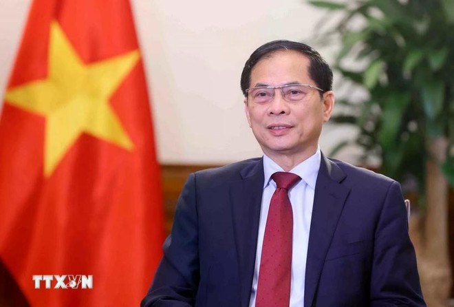 Le vice-Premier ministre et ministre des Affaires étrangères Bui Thanh Son. Photo : VNA 3.jpg