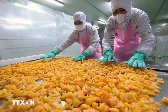 Dans le secteur agricole, les exportations ont généré environ 18,3 milliards de dollars au premier semestre, soit une progression de 16,8 % en glissement annuel. Photo : VNA nong-san.jpg