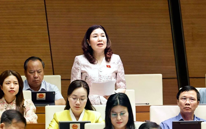 La députée Tran Thi Van de Bac Ninh. Photo : VNA deputee.jpg