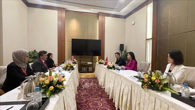 La séance de travail entre l'Audit d'Etat du Vietnam et l’Autorité de responsabilité des Émirats arabes unis. Photo : VNA m-dung-2.jpg