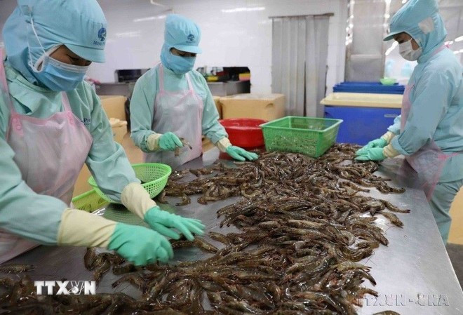 Au premier semestre 2025, les échanges Vietnam-Égypte ont atteint 266,9 millions de dollars, soit une hausse de 8 % sur un an. Photo : VNA export.jpg