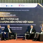 Des entreprises et des experts participent à la séance de discussion lors de l'atelier. Photo : VNA