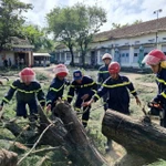 Un arbre tombé près du lycée Nguyen Hong Son, dans le quartier de Xuan Dai, province de Dak Lak, a été dégagé. (Photo : VNA)