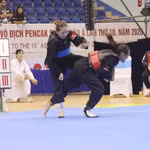 Des athlètes en compétition lors des 10es Championnats d'Asie de pencak silat. Photo : VNA
