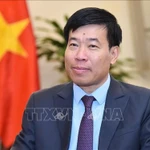 Nguyên Manh Cuong, membre du Comité central du Parti, secrétaire adjoint permanent et vice-ministre des Affaires étrangères. Photo : VNA