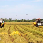 Des politiques de rupture, mises en œuvre avec célérité, nourrissent de fortes attentes de la population quant à une amélioration de la qualité de vie. Photo : VNA