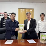 Des représentants du gouvernement vietnamien et de l’entreprise rizicole AgriVMA ont remis 250 tonnes de riz au titre d’une aide non remboursable destinée à la partie cubaine. Photo : VNA