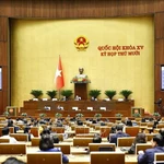 Lors d'une session de l'Assemblée nationale. Photo : VNA