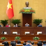 Lors d'une session de l'AN. Photo . VNA