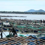 Le Premier ministre ordonne d’accélérer les efforts de redressement après le typhon n°13. Photo . VNA
