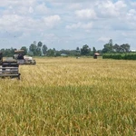 Photo d'illustration : VNA