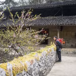 Des maisons traditionnelles en pisé des H'Mông dans le hameau de Lao Xa, commune de Sung La, district de Dông Van, province de Hà Giang. Photo : VNA