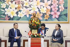 Réunion de haut niveau entre Le Minh Hung, membre du Bureau politique, secrétaire du Comité central du PCV, chef de la Commission centrale d’organisation du PCV, et son homologue lao, Sisay Leudetmounsone. Photo: VNA